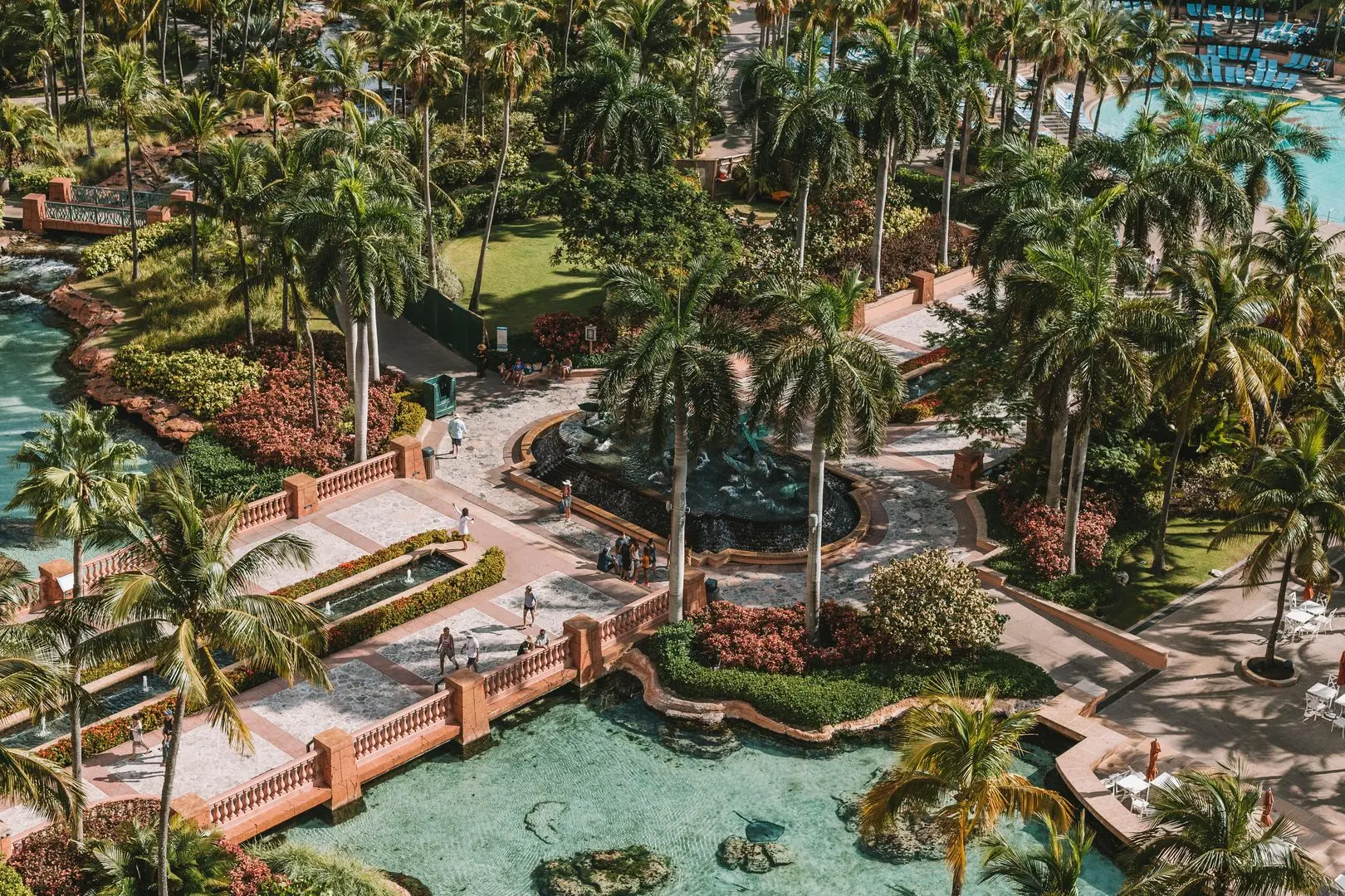 Lush greenery in the Bahamas with palm trees, tropical plants, and vibrant flowers under a bright blue sky.