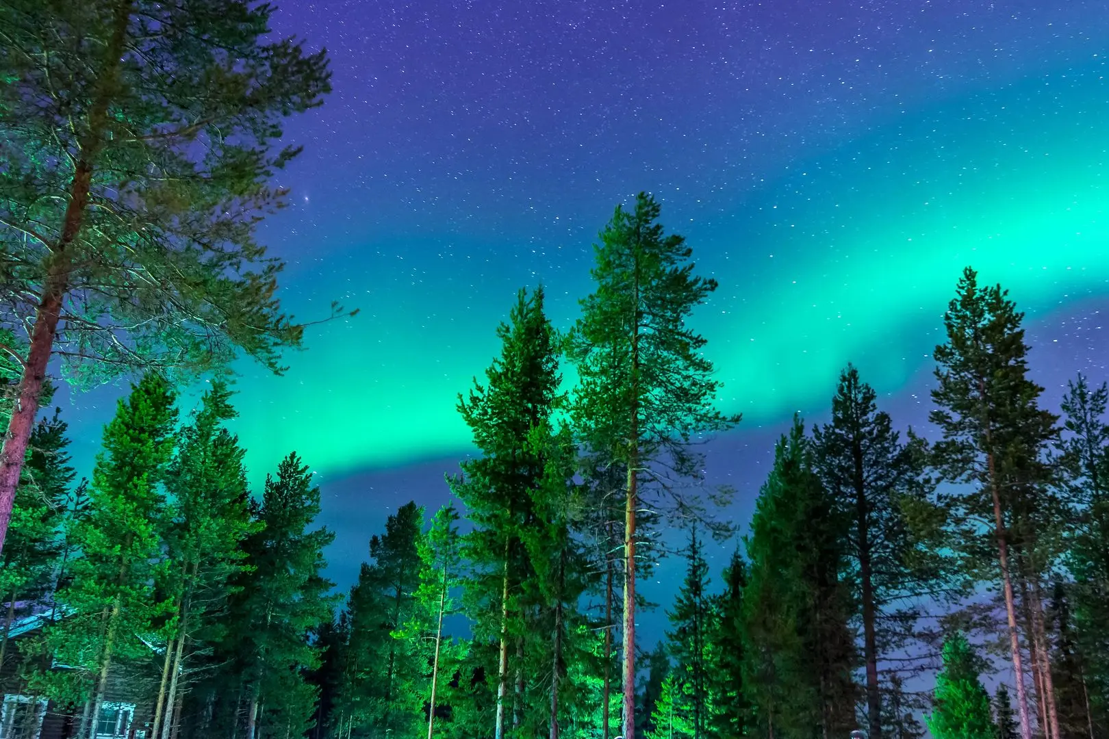 Mesmerizing Northern Lights dancing across the night sky in Alaska, with vibrant green and purple hues over a snowy wilderness.